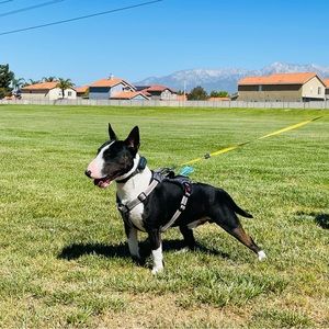 Meet your Posher, Alan